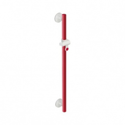 HEWI Rail with Shower Head Holder