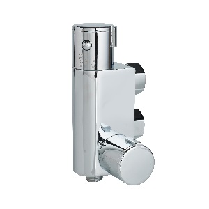 Compact Vertical  Thermostatic Shower Valve