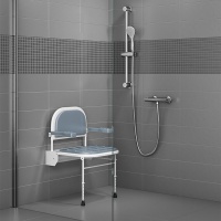 Arley Total Care Shower Seat